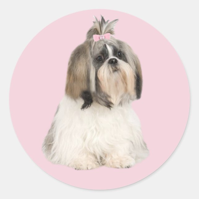Shih Tzu Sticker (Vorderseite)