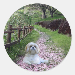 Shih Tzu Sticker Purple Flowers