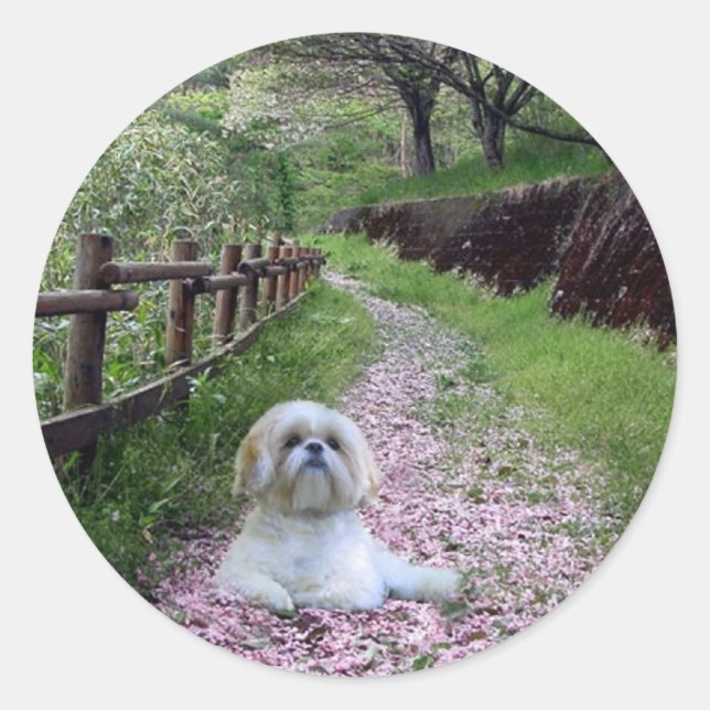 Shih Tzu Sticker Purple Flowers (Vorderseite)