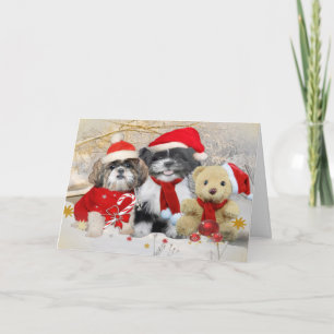 Shih Tzu & Teddy Bear Xmas Card Feiertagskarte