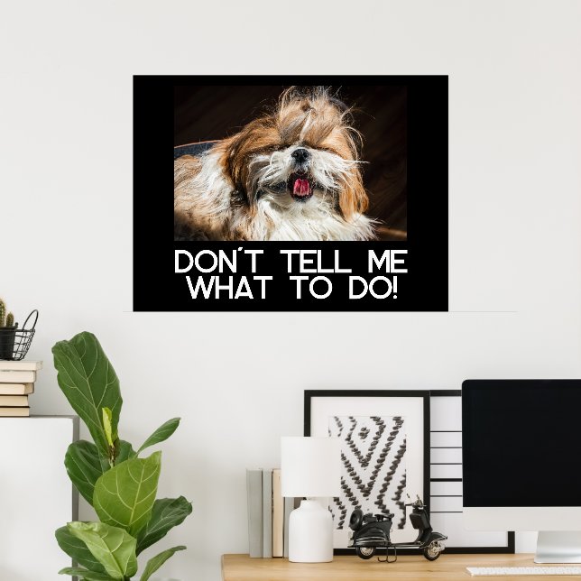 Shih tzu tongue funny Don't tell me what to do Poster (Heimbüro)