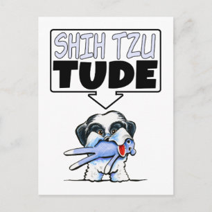 Shih Tzu Tude Postkarte