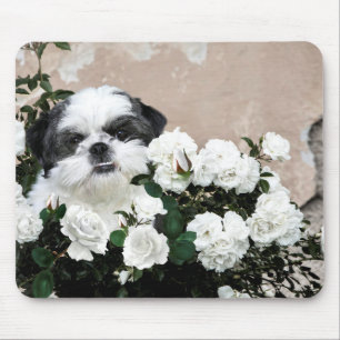 Shih Tzu und Rose Mousepad