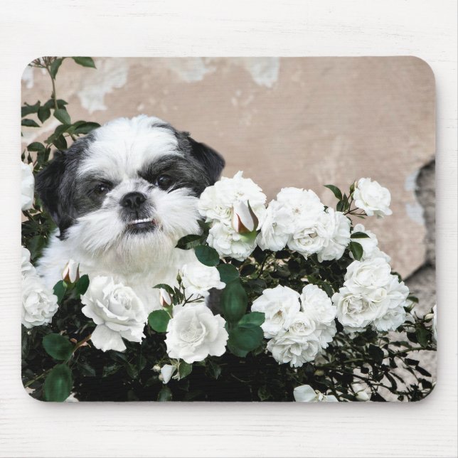 Shih Tzu und Rose Mousepad (Vorne)