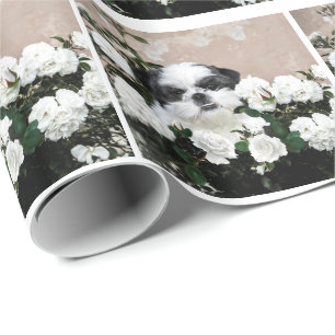 Shih Tzu und Rosen Geschenkpapier