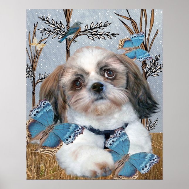 Shih Tzu und Schmetterlinge drucken Poster (Vorne)
