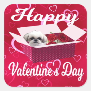 Shih tzu Valentine's Day Sticker, Hund Quadratischer Aufkleber