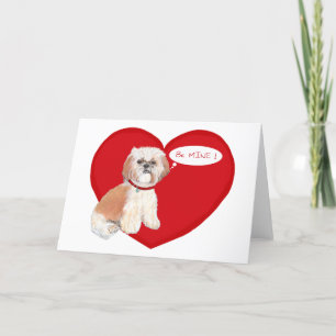 Shih Tzu Valentines Feiertagskarte