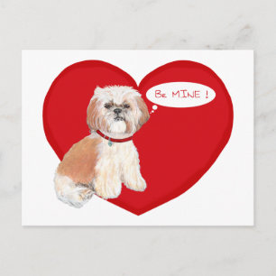 Shih Tzu Valentines Feiertagspostkarte