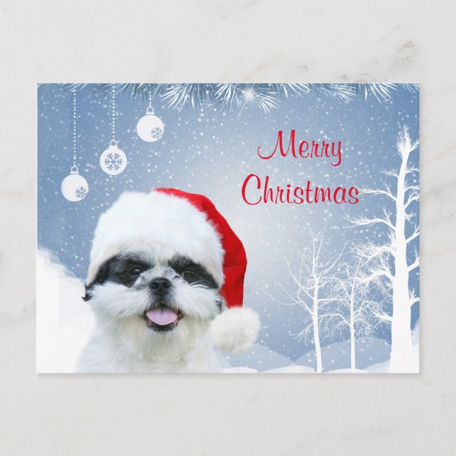 Shih Tzu Weihnachten (Vorderseite)