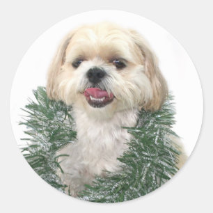 Shih Tzu Weihnachtsaufkleber Runder Aufkleber