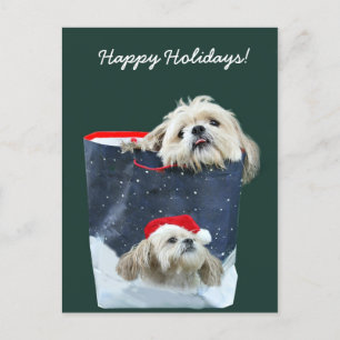 Shih Tzu Weihnachtsgeschenk Feiertagspostkarte