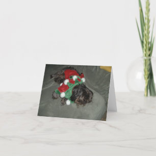 Shih Tzu Weihnachtskarte Feiertagskarte
