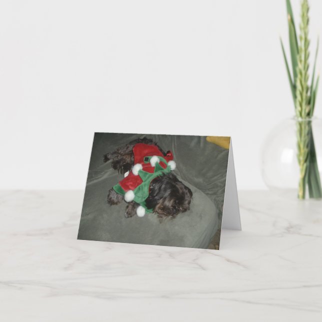 Shih Tzu Weihnachtskarte Feiertagskarte (Vorderseite)