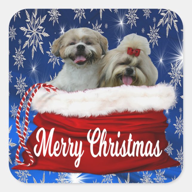 Shih tzu Weihnachtskleber Quadratischer Aufkleber (Vorderseite)