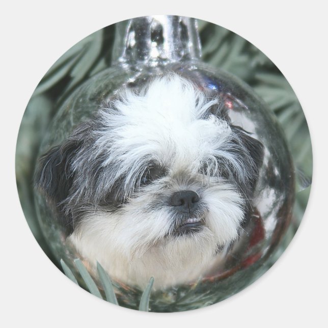 Shih Tzu Weihnachtsschmuck Runder Aufkleber (Vorderseite)