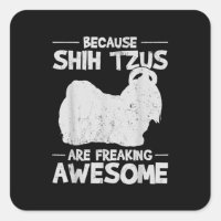 Shih Tzu | Weil Shih Tzus Phantastisch frieren