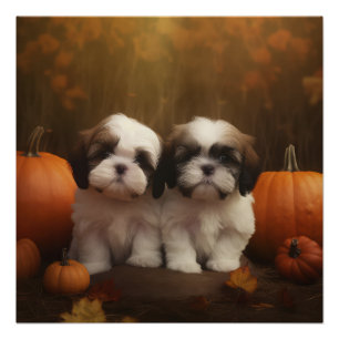 Shih Tzu Welpe Herbstfreude Kürbis Poster