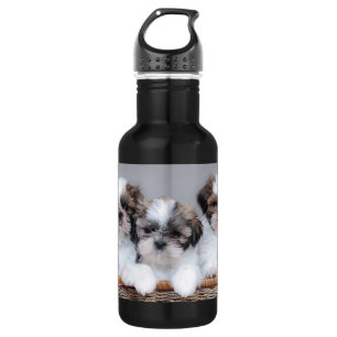 Shih Tzu Welpen Edelstahlflasche