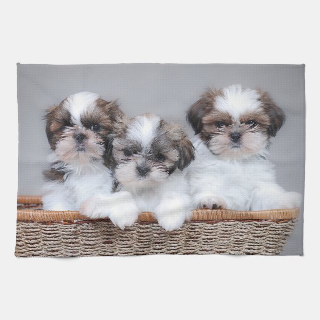 Shih Tzu Welpen Geschirrtuch (Horizontal)