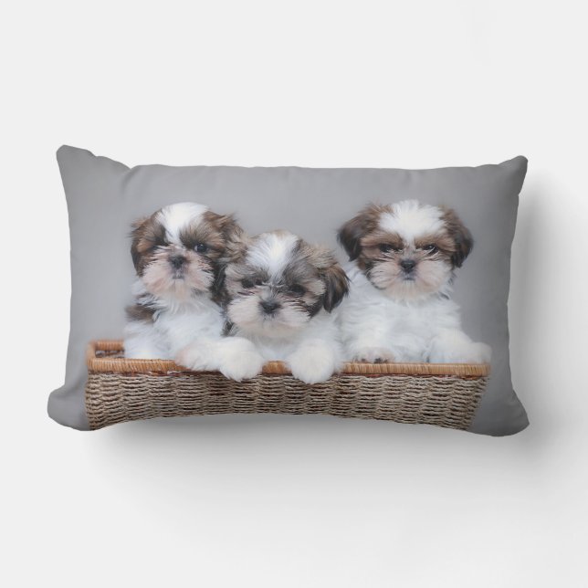 Shih Tzu Welpen Lendenkissen (Vorderseite)