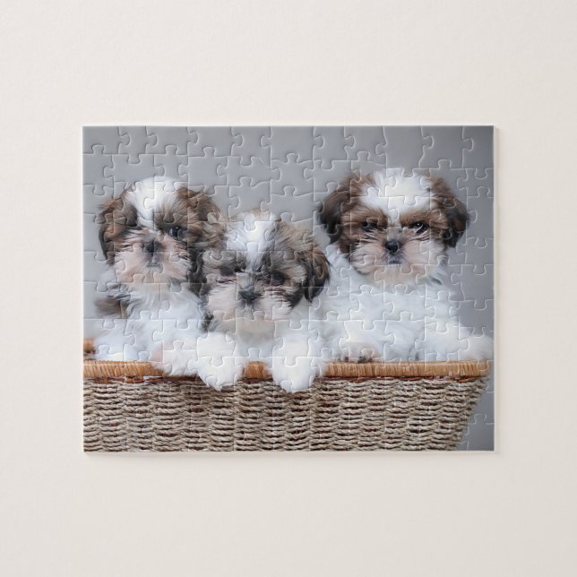 Shih Tzu Welpen Puzzle (Horizontal)