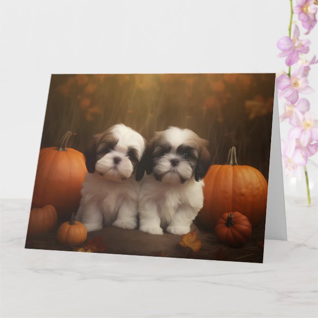 Shih Tzu Welppy Autumn Delight Pumpkin Karte (Orchidee)