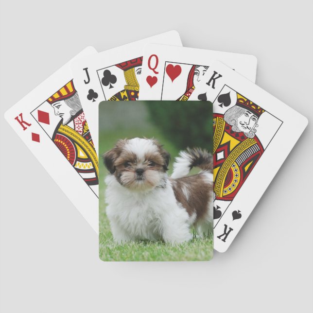 Shih tzu Welppy Spielkarten (Rückseite)