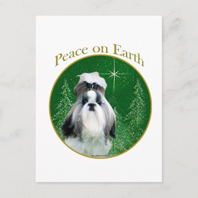 Shih Tzu Weltfrieden Postkarte (Vorderseite)