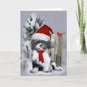 Shih Tzu Winterszene Feiertagskarte