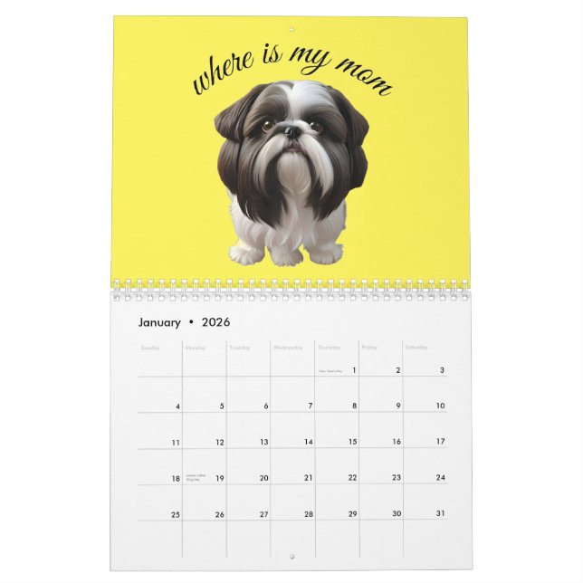 Shih Tzu - Wo ist meine Mama Kalender (Jan 2026)