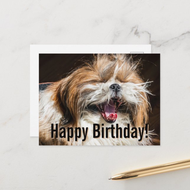 Shih tzu yawning laughing funny Happy birthday  Postkarte (Vorderseite/Rückseite Beispiel)