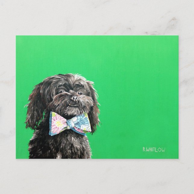 Shih Tzu Yorkie Dog Postcard - Chip Postkarte (Vorderseite)