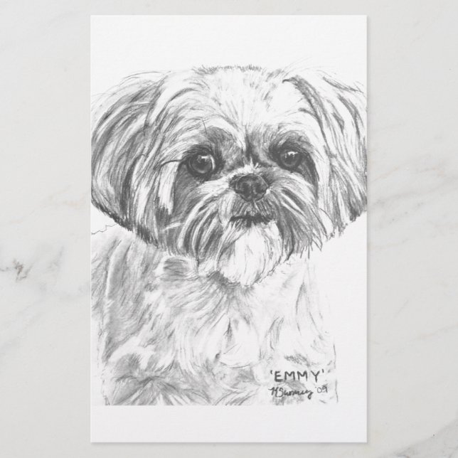 Shih Tzu Zeichnend (Vorderseite)
