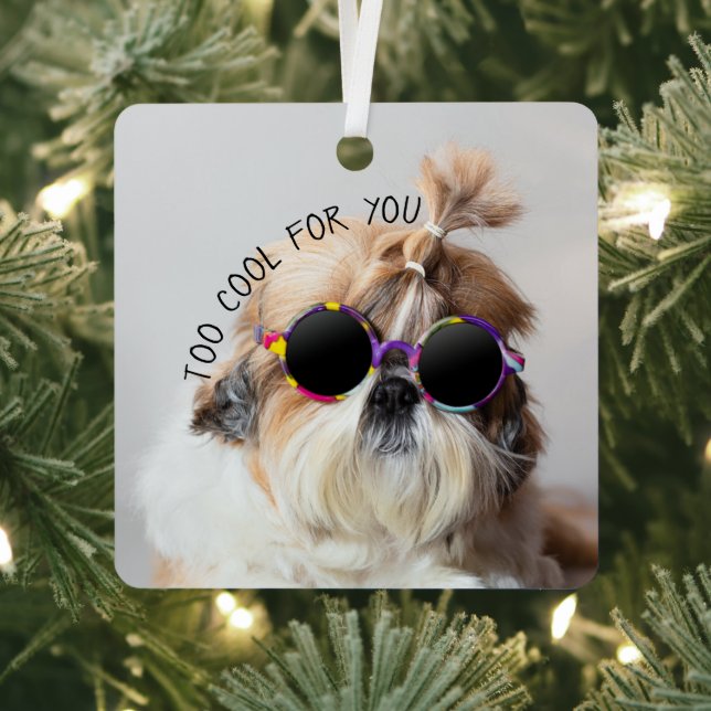 Shih Tzu zu Cool für Sie Sonnenbrillen Foto Ornament Aus Metall (InSitu)