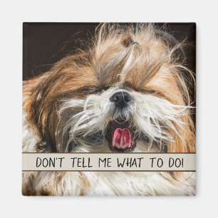 Shih tzu Zunge lustig Erzähl mir nicht, was ich tu Magnet
