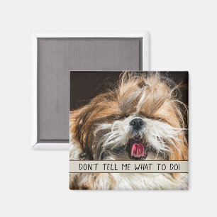 Shih Tzu Zunge lustig Sag mir nicht, was ich tun s Magnet