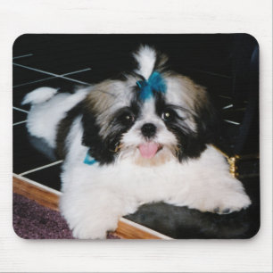 Shih--Tzuwelpe Mousepad