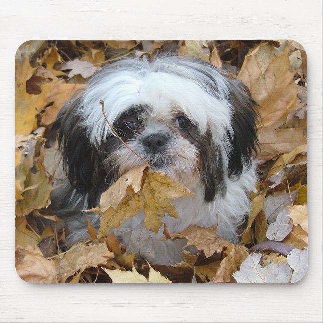 Shih--tzuwelpe Mousepad (Vorne)