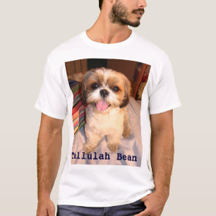 Shihtsu-Enkelkind? T-Shirt