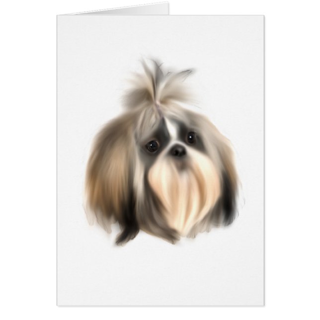 ShihTzu Dog (Vorne)