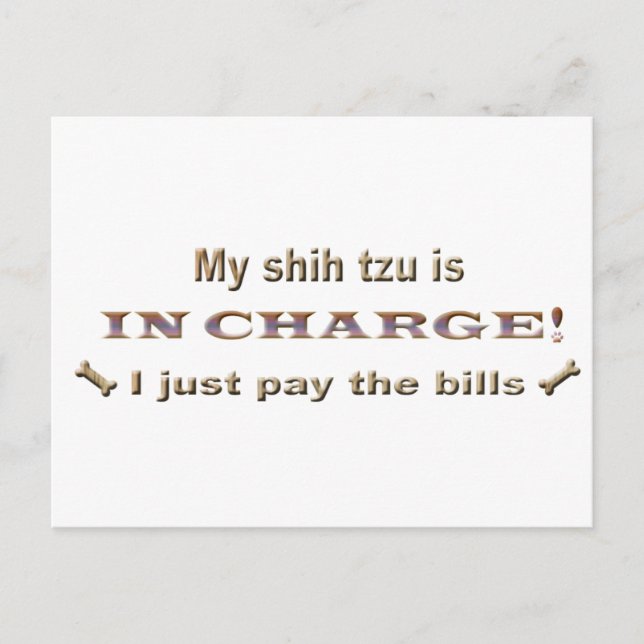 Shihtzu Postkarte (Vorderseite)