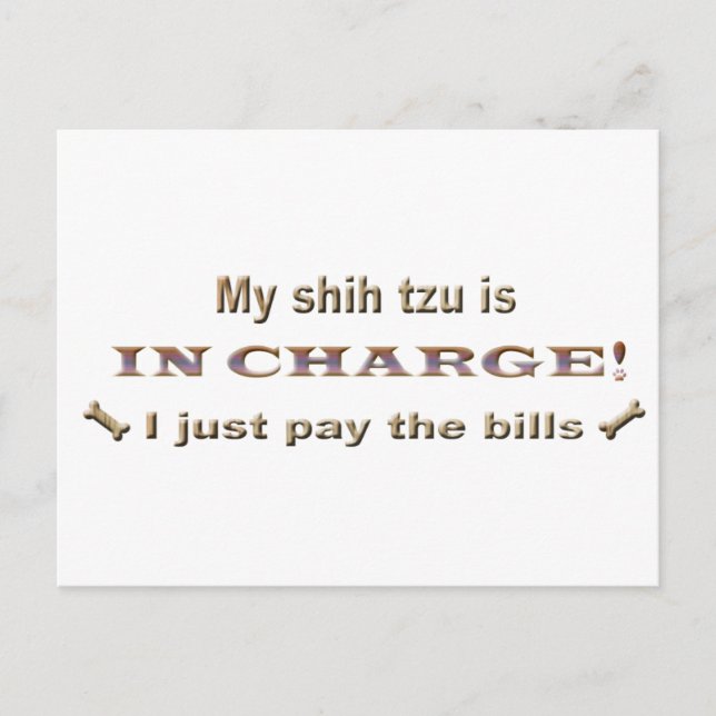 Shihtzu Postkarte (Vorderseite)