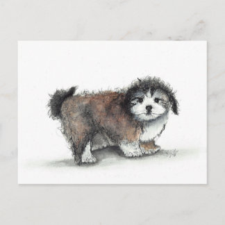 Shihtzu Puppy Dog, Pet Postkarte