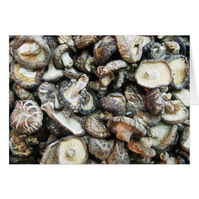Shiitake Mushroom Card (Vorderseite (Horizontal))