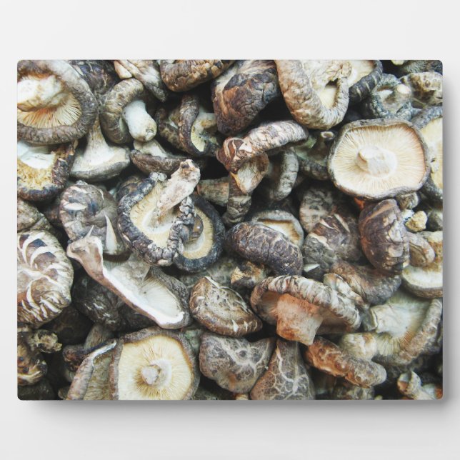 Shiitake Mushrooms Fotoplatte (Vorderseite)