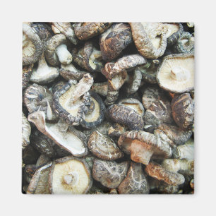 Shiitake Mushrooms Magnet