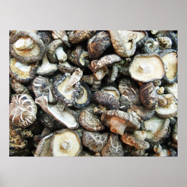 Shiitake Mushrooms Poster (Vorne)