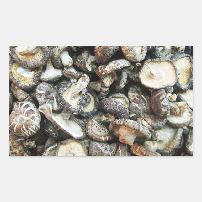 Shiitake Mushrooms Rechteckiger Aufkleber (Vorderseite)