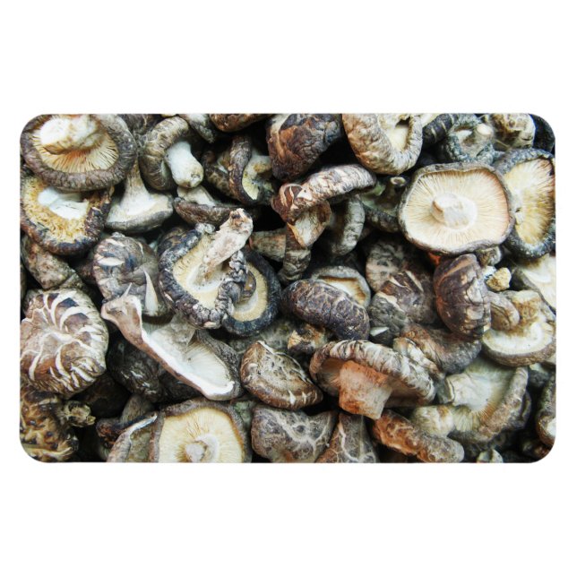 Shiitake-Pilze Magnet (Horizontal)